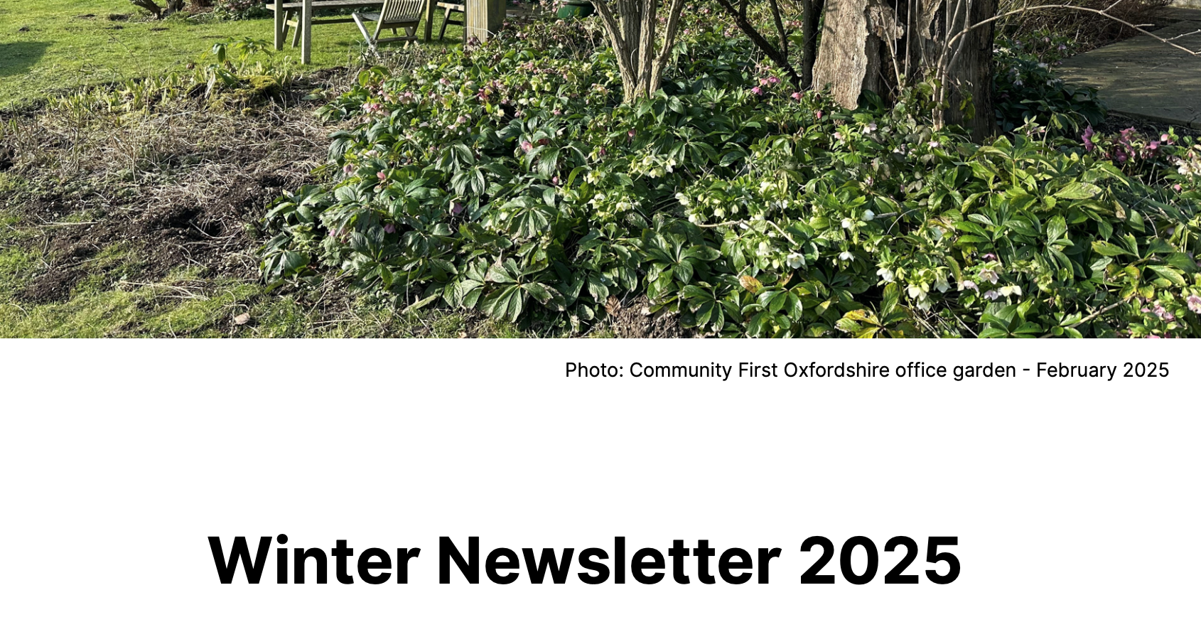 February newsletter feature